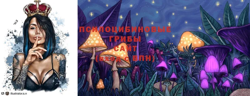 купить  сайты  мориарти Telegram  Галлюциногенные грибы MAGIC MUSHROOMS  Комсомольск-на-Амуре 